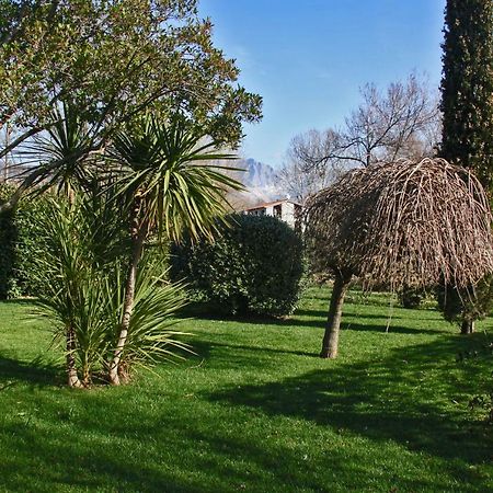 Macchia Home Марина-ди-Каррара Экстерьер фото